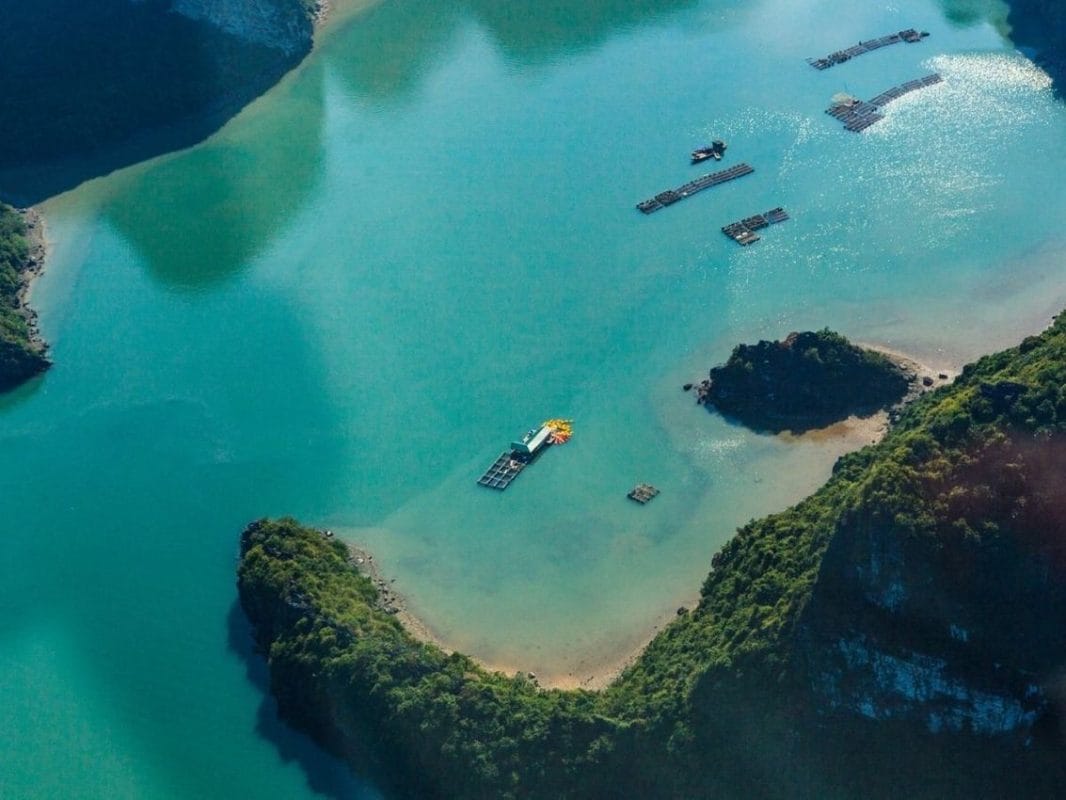 halong1