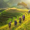 sapa ashaq vietnam travel