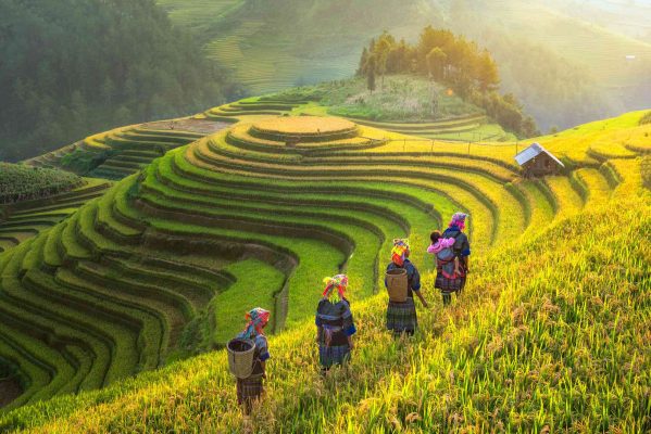 sapa ashaq vietnam travel