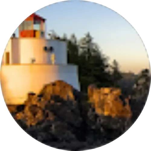 ali alshahrni review ashaq