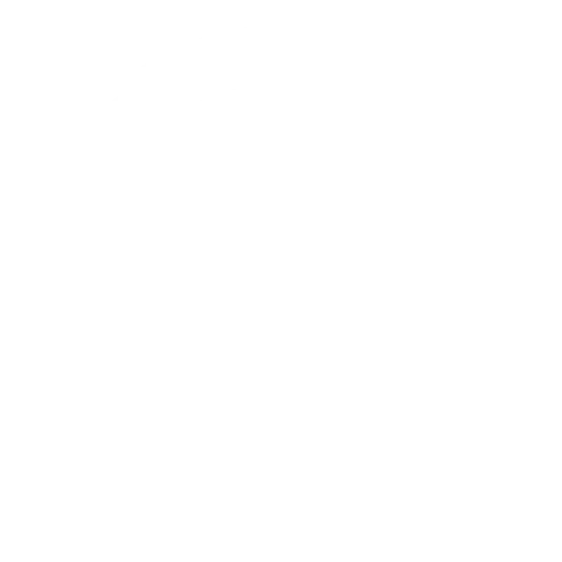 support icon ashaq vietnam