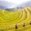 Sapa-in-autumn-ashaq-vietnam