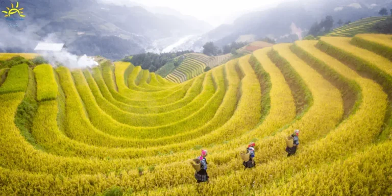 Sapa-in-autumn-ashaq-vietnam