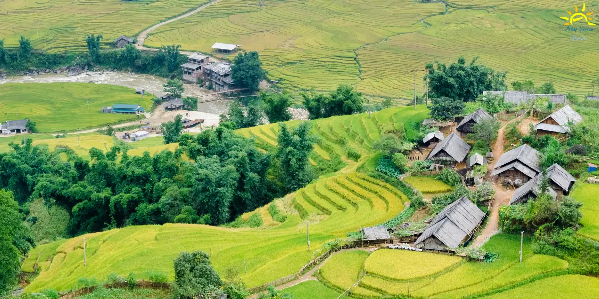 Thung-lung-muong-hoa-ashaq-vietnam-travel