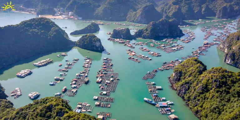 cua-van-floating-village-in-halong-bay-ashaq-vietnam