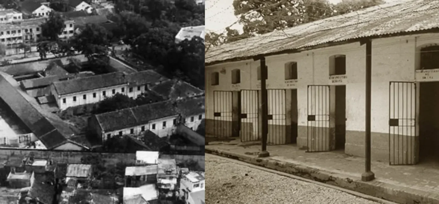 hoa lo ashaq vietnam