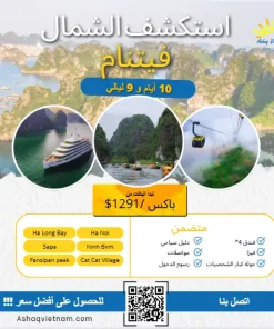 Ảnh chụp màn hình 2025-02-21 170129