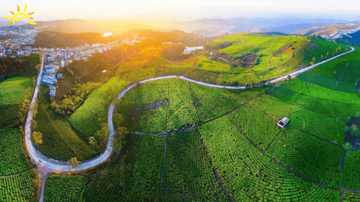 هل فيتنام آمنة للسياحة؟